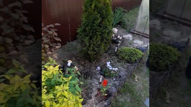 Моя дача июнь 2020. смотреть онлайн