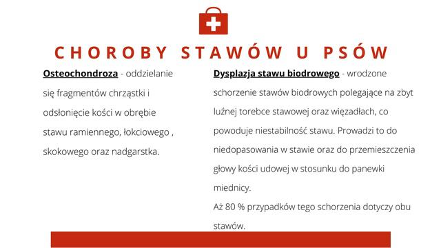 ArthroVet - preparat na stawy /Choroby stawów u psów / смотреть онлайн