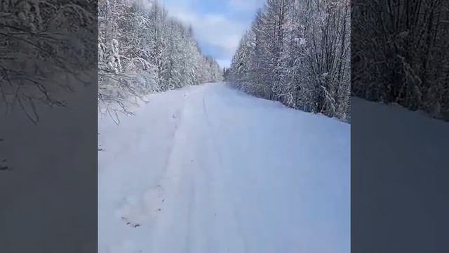 29 сентября 2022 г. смотреть онлайн