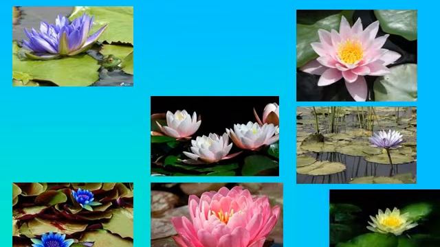 Презентация на тему Работа с бумагой и картоном смотреть онлайн