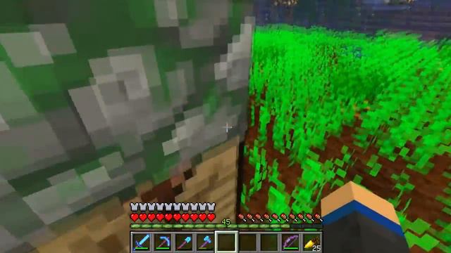 #5 Отчетный эпизод | Minecraft 1.10.2 [REALMS SERVER] Ферма золота и морковки, расширение "шахты" смотреть онлайн