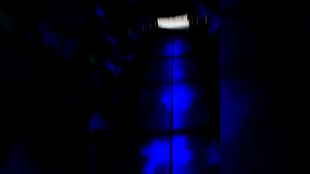 Аттракцион невесомости. смотреть онлайн