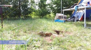 Хакасия озеро Белё Ачинск Онлайн Путешествия Новости