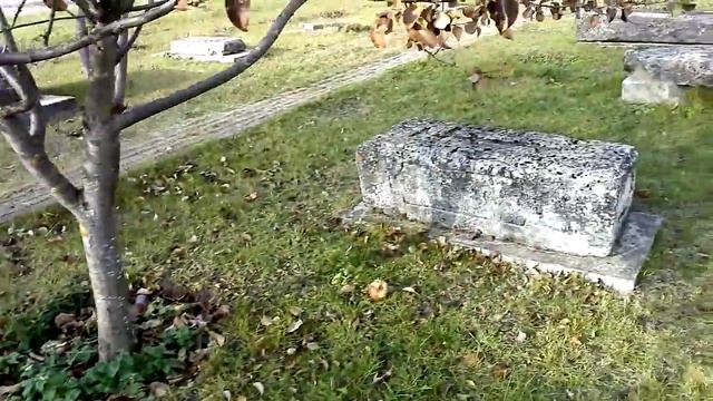 Солнце на надгробиях вместо крестов. Часть 1 смотреть онлайн