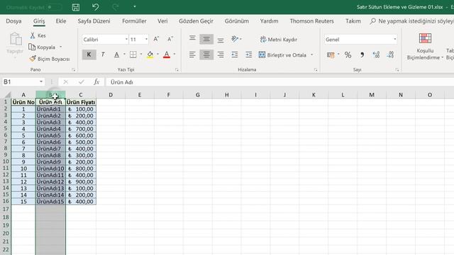 Satır/Sütun Ekleme ve Gizleme (Temel Düzey Excel 2019 Dersleri #19) смотреть онлайн