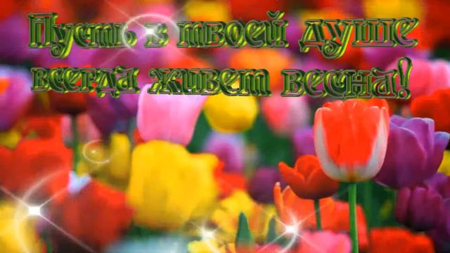 ★► #Футаж HD для видеомонтажа #ТЮЛЬПАНЫ #videokanal★► смотреть онлайн