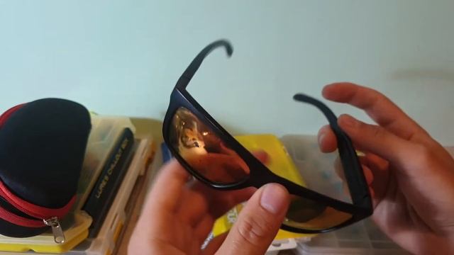 Видеообзор поляризационных очков Rapala RVG-300B по заказу с Fmagazin