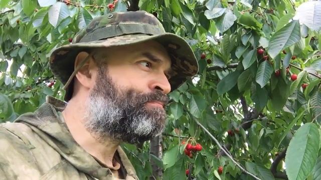 Доброволец Z пока наши РСЗО бьют по ВСУ ем черешню.mp4 смотреть онлайн