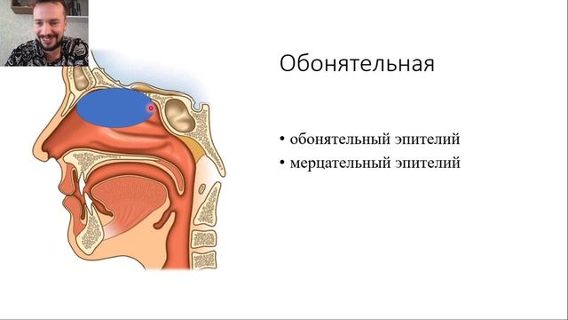 Лор#3. Анатомия носа #2. Пазухи носа. смотреть онлайн