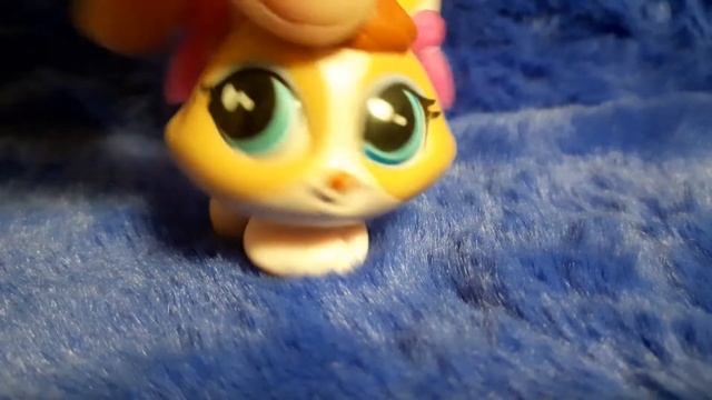 [LPS] Как выпросить у родителей собаку, кошку и тд смотреть онлайн