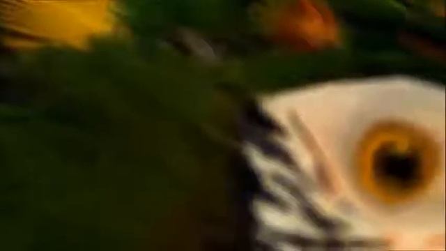 Медитация для женщин смотреть онлайн