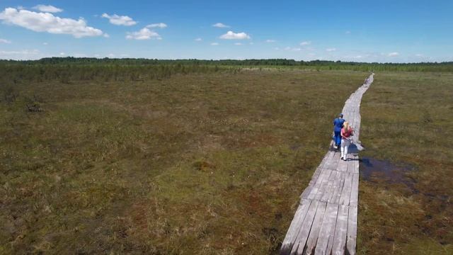 Путешествуем по Беларуси Видзы-Браслав-Миоры. Заказник Ельня с высоты #аэросъёмка #drone #djiair2s смотреть онлайн