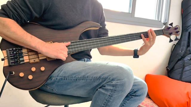 Bergman Basses - Joy neck thru Fretless - Demo смотреть онлайн