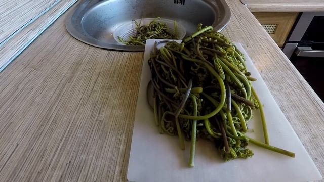 Как приготовить папоротник быстро,просто,вкусно! смотреть онлайн