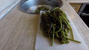 Как приготовить папоротник быстро,просто,вкусно!