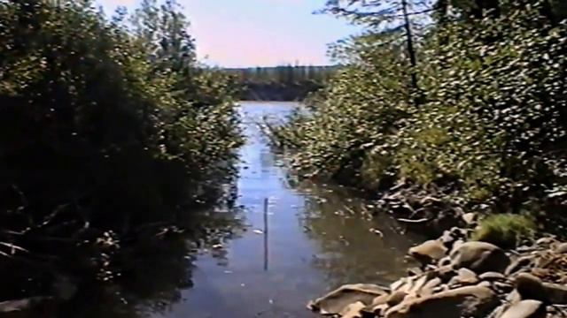 В медвежьем углу смотреть онлайн