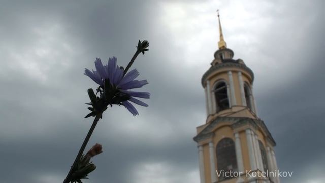 Колокольные звоны в Ризоположенском монастыре Суздаля смотреть онлайн