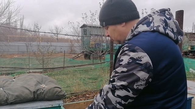 Зимовка пчел на сетчатом дне. смотреть онлайн