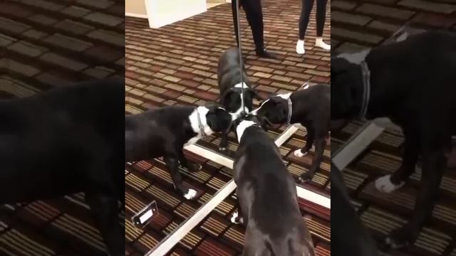 Не понял откуда вас столько взялось?!