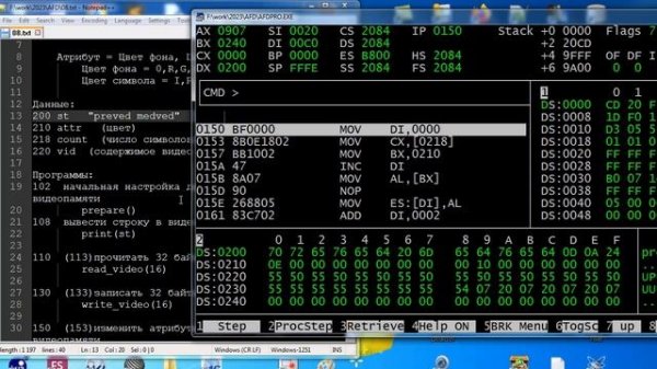 as008 Assembler прямой доступ к видеопамяти
