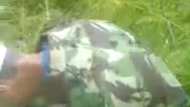 Слепни, оводы и всякая дрянь... смотреть онлайн