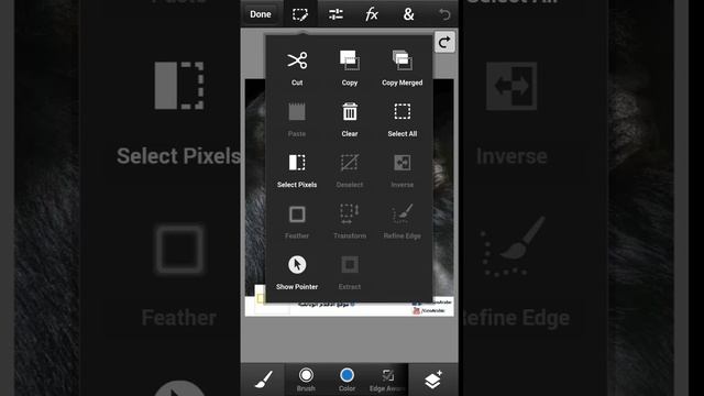 Download Adobe Photoshop Touch PRO v1.6.1 APK For Android смотреть онлайн