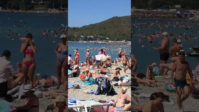 Архипо-Осиповка август 2023 года ? Пляж у горы Ёжик ?️ Видео: @Natalijmisikova смотреть онлайн