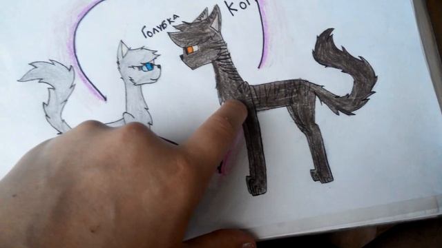 Мои рисунки котов воителей смотреть онлайн