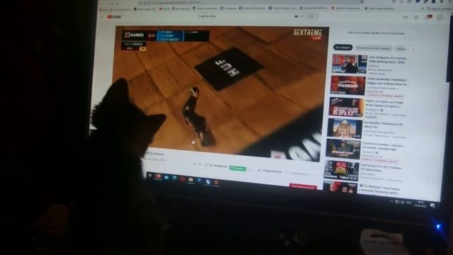 Котёнок трехцветная - полосатая (Лисицина) смотреть онлайн