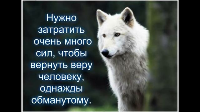 Волк внутри нас смотреть онлайн