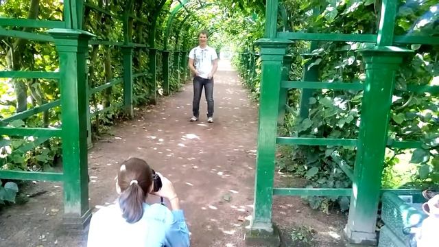 Выходные в Питере смотреть онлайн