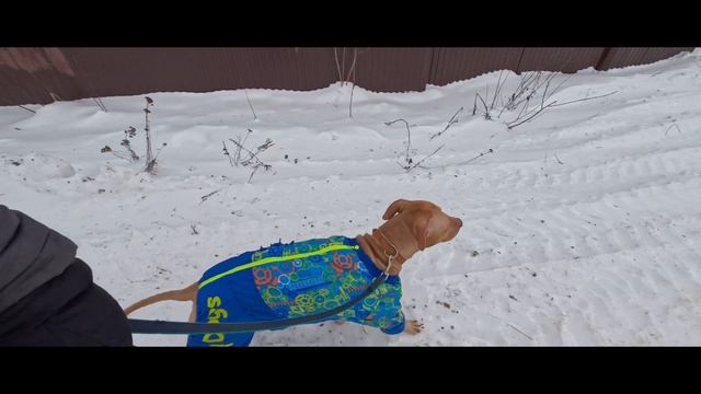 2023-01-14 смотреть онлайн