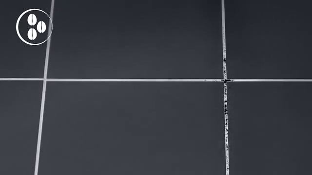 Беспроводной пылесос Airforce Lithium Tefal