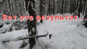 Охота на куницу капканами. Очередная проверка путика. Отзыв о приманке Nytro Q.