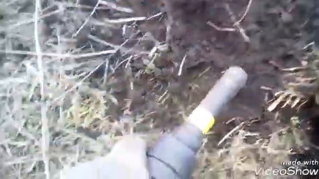 Первый выход после снега! смотреть онлайн