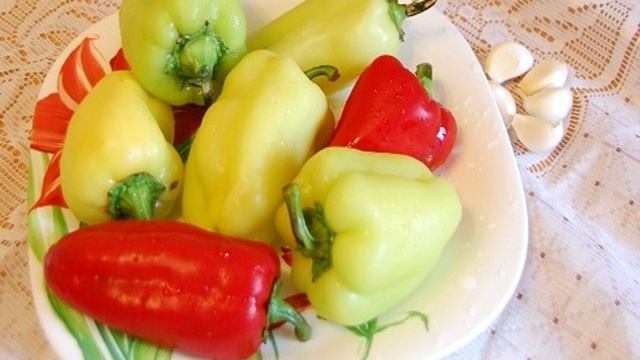 Сборник рецептов