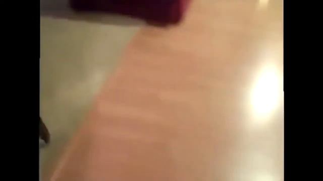 Собака готовится к поездке на дачу смотреть онлайн