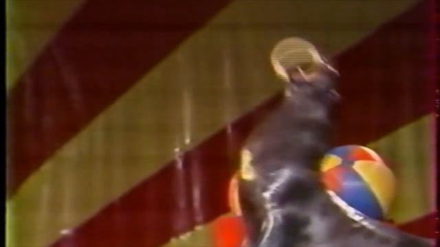 Steven & Doreen PEDERSEN 1982 (Cirque Achille Zavatta) смотреть онлайн