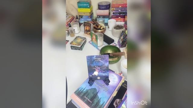Pick a Card Guidance ~ Sacred Forest Oracle (Timeless) ??? смотреть онлайн