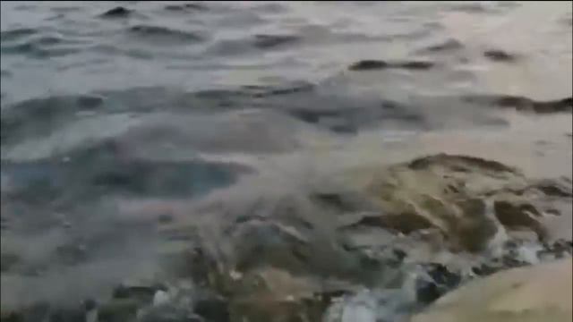 Bahtning Erta Kechi Yoq (3-qism) | Бахтнинг эрта кечи йўқ  (3-қисм)