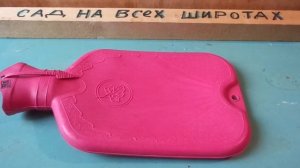 Как почистить Печень оливковым маслом и свежо выжитом лимонным соком .