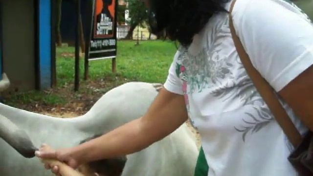 adryan marley pelado no parque смотреть онлайн