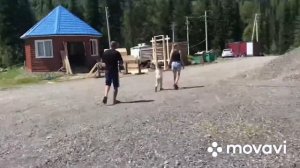 Alpen Club hotel. Шерегеш летом гора сектор е инста valeriya_ermakova_nk