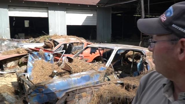 Barn Finds - 56 Classic Mustangs Discovered in Woods in Louisiana смотреть онлайн