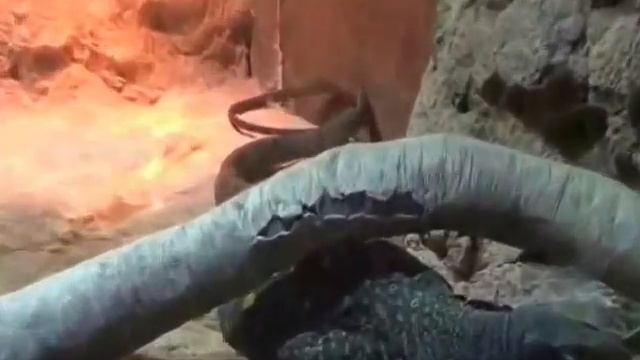 Казанский океанариум - прикосновение к подводному миру. Покорение воздушной стихии в парке Кырлай. смотреть онлайн