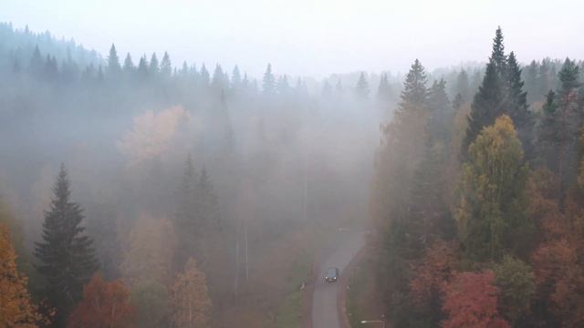 Медитация /связь со вселенной /микроволны/биоритмы смотреть онлайн