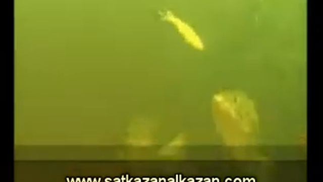 Banjo 006 Minnow 110 Parça Balık Tutma Seti www satkazanalkazan com смотреть онлайн
