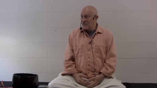 THE QUICKEST WAY TO ENLIGHTENMENT ~ Shinzen Young смотреть онлайн