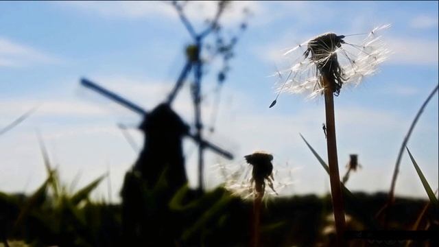 Павел Кашин - Я Тебя Рисую Ветром смотреть онлайн