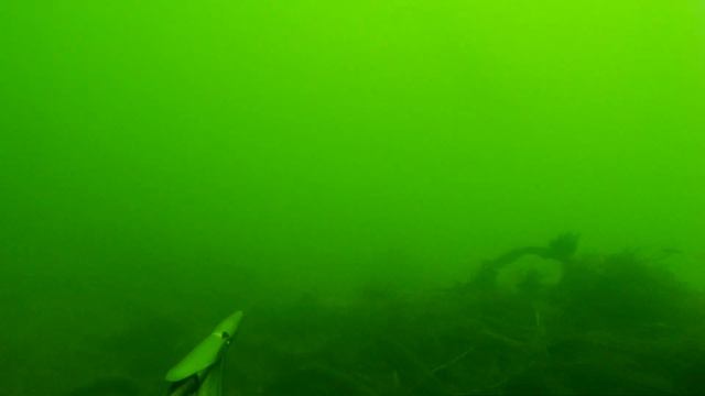 Амур на сильном течении! смотреть онлайн